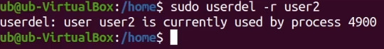 user is currently used by process 4900