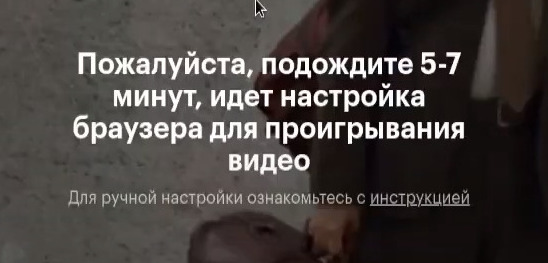 Кинопоиск Пожалуйста подождите 5-7 минут, идёт настройка браузера для проигрывания видео